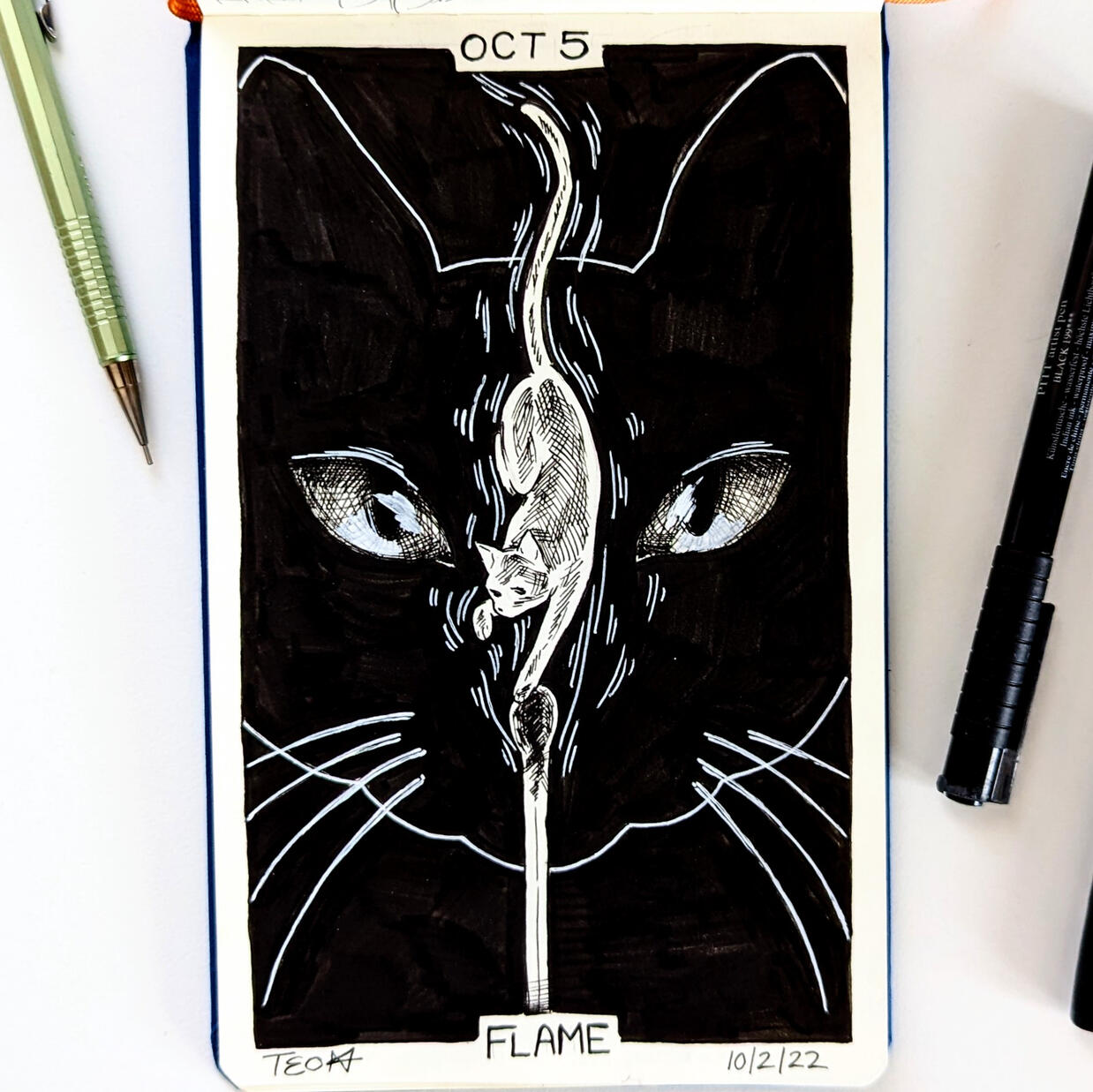 Day 5