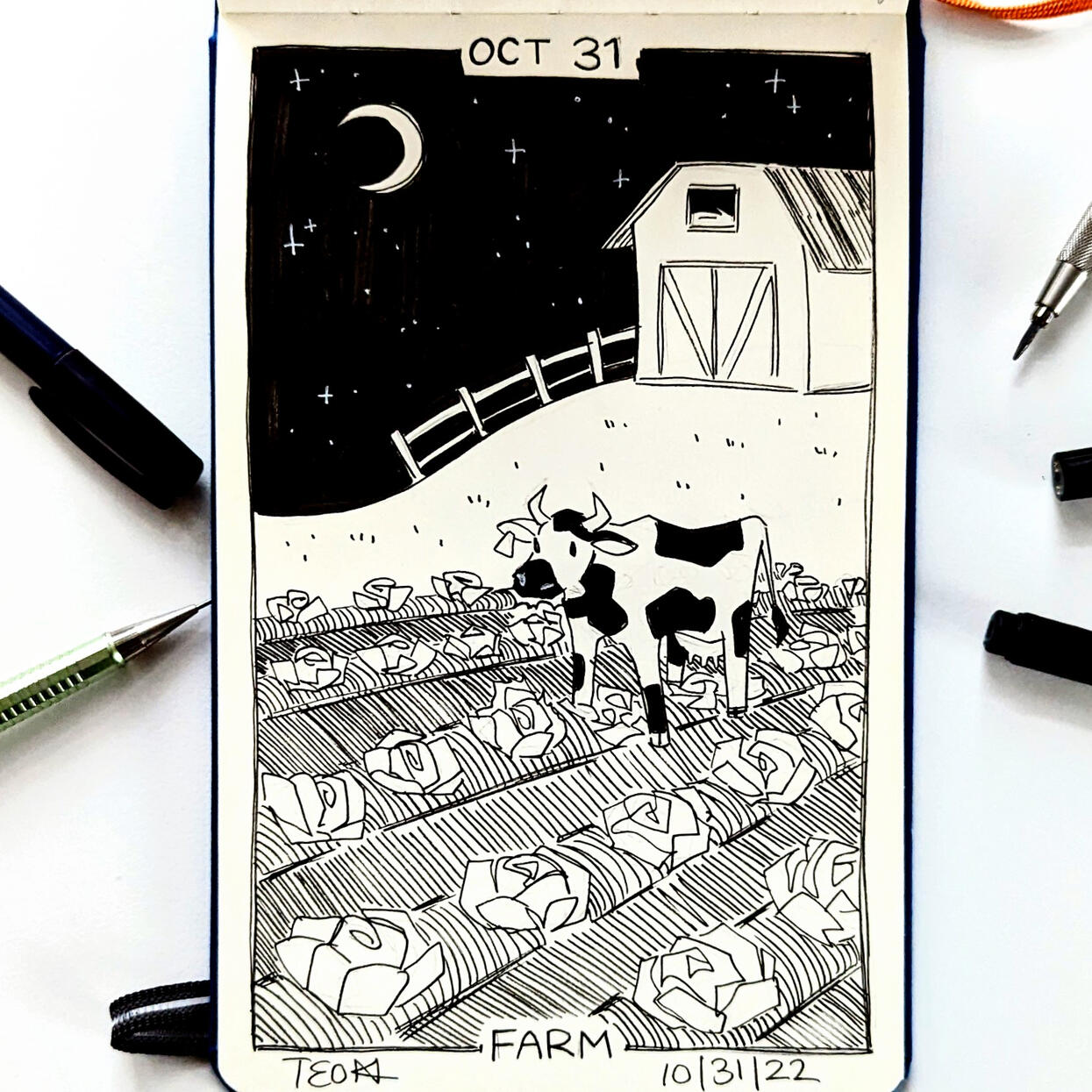Day 31