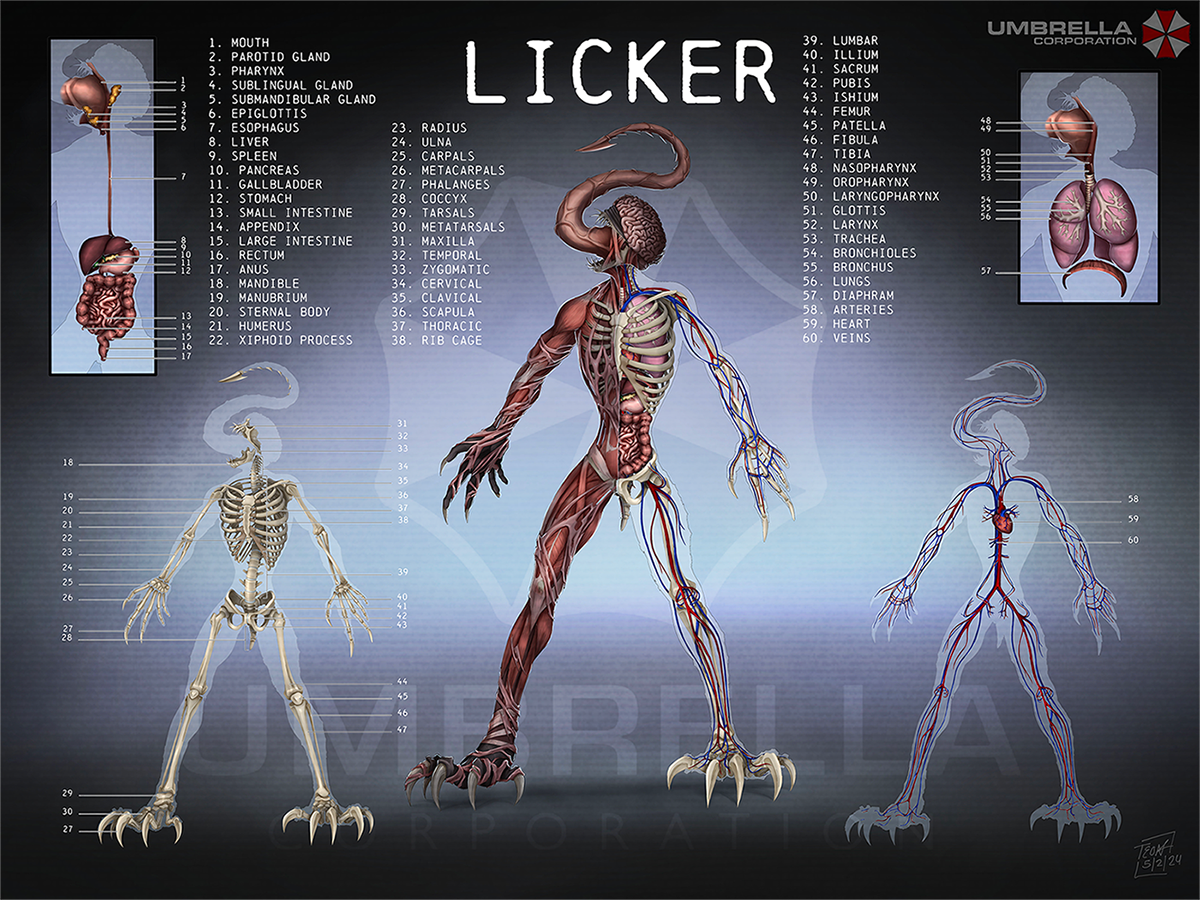 Resident Evil Licker Anatomical Poster - Digital