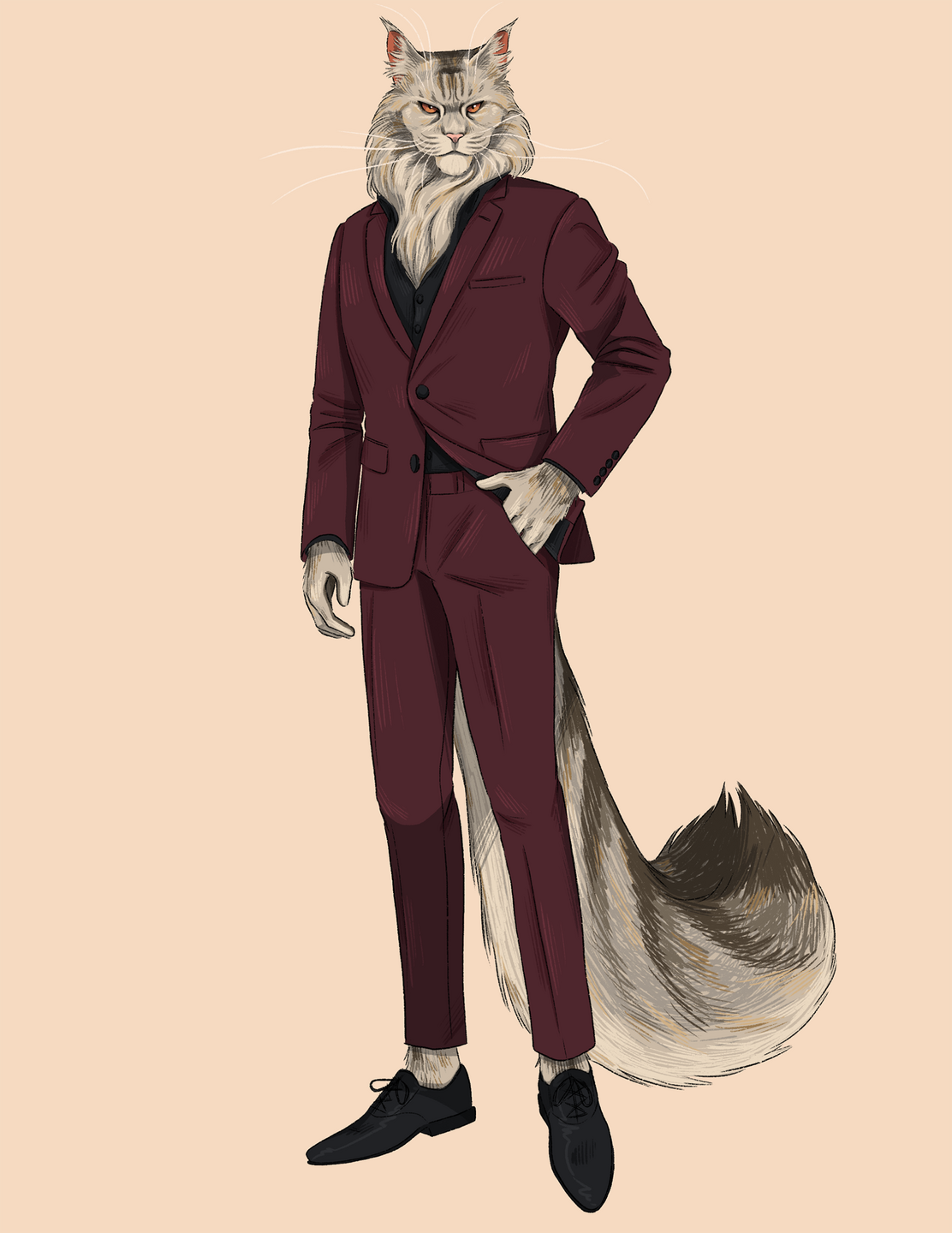 M - Maine Coon