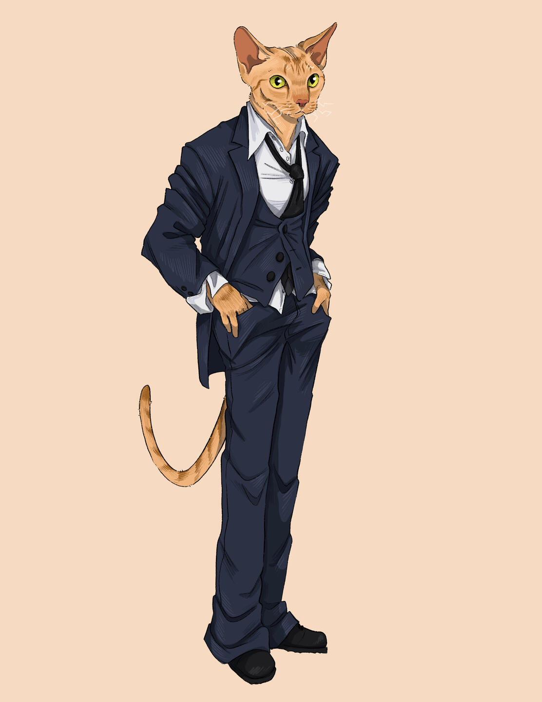D - Devon Rex
