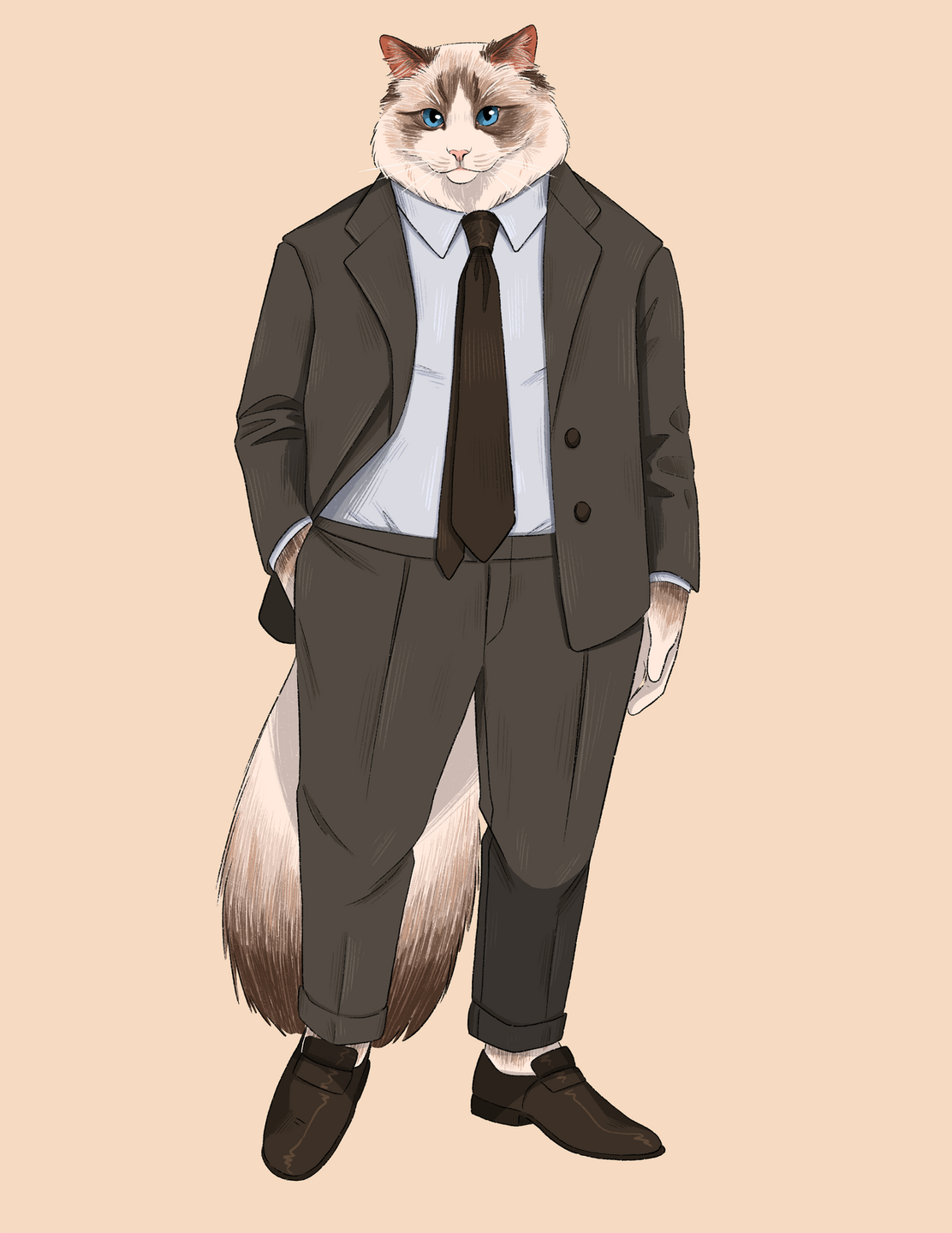 R - Ragdoll